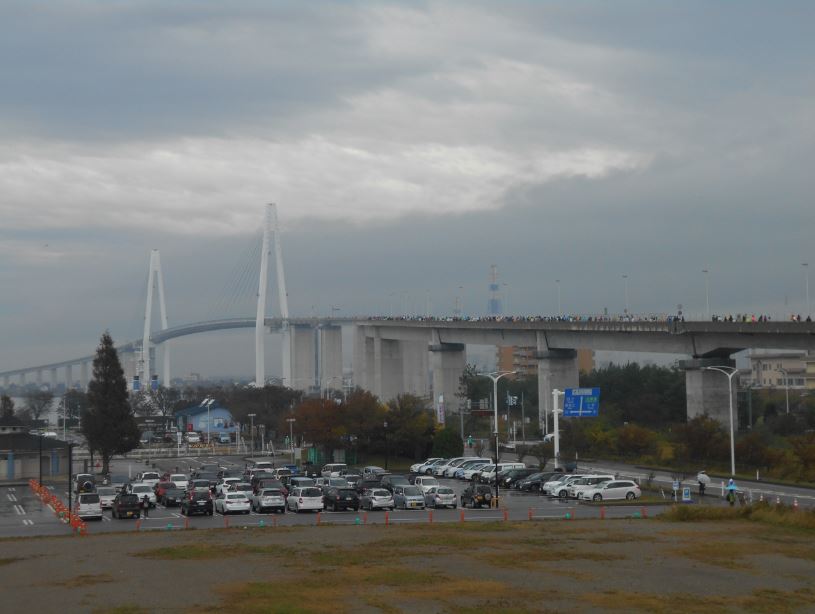 曇り空の新湊大橋